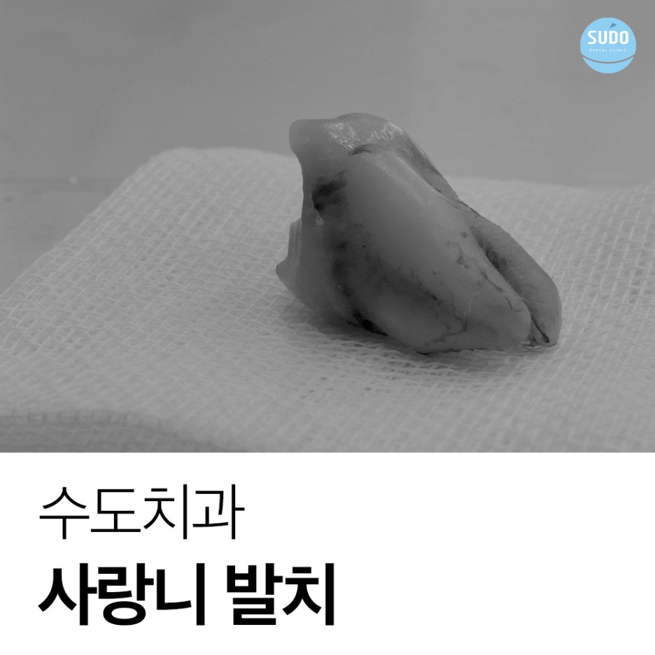 남포동치과