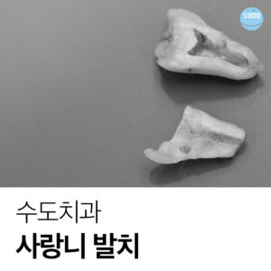 남포동치과