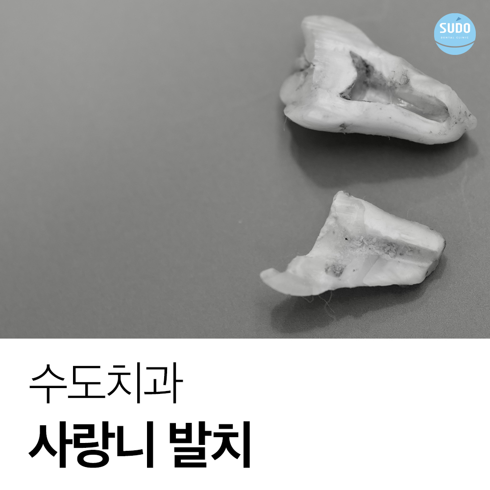 남포동치과